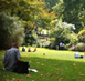 Park
