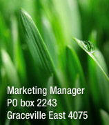 Marketing Manager