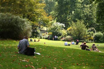 Close to parks