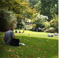 Leafy riverside parks