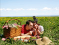 Picnic