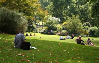 park